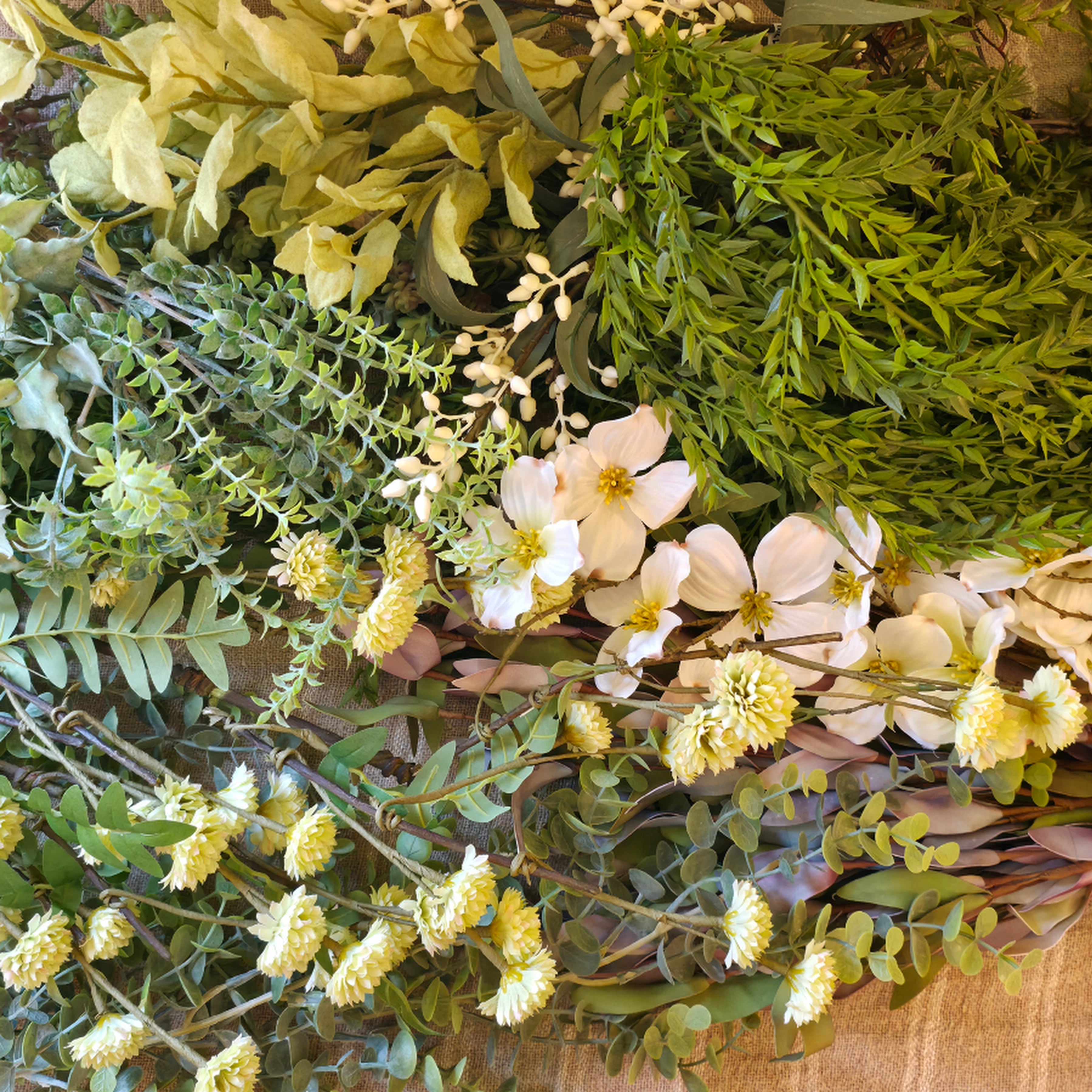 Botanicals & Florals