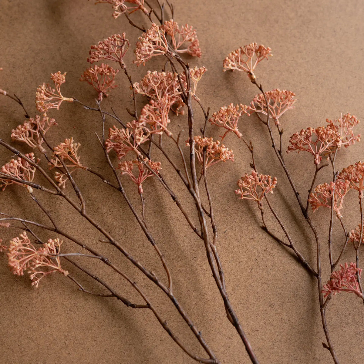 Rice Flower Stem, Blush, 40 in.