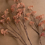 Rice Flower Stem, Blush, 40 in. 2