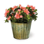 Red Tin Planter, Verdigris, 7 X 6 in 2