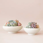Ceramic Birdie Bowl, Vintage White, 8.25 in. 2