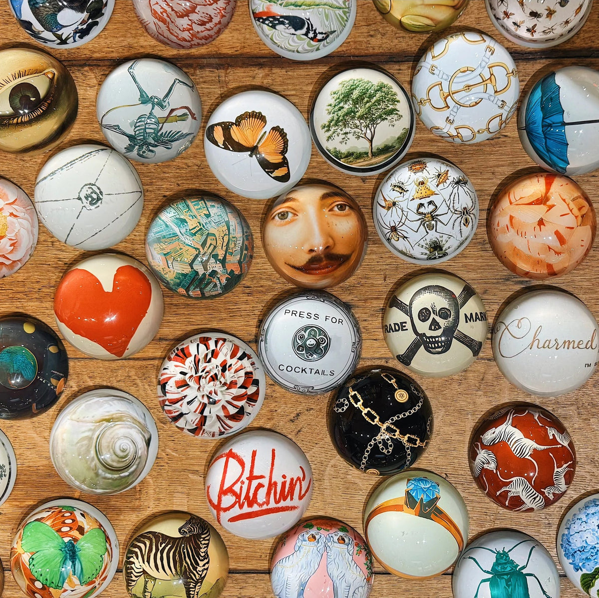 I'm Back by Popular Demand Paperweight, 4 in.