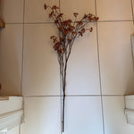 Rice Flower Stem Rust 40