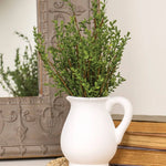 Baby Boxwood Bush, 16 in. 2