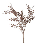 Berry Branch 1
