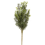 New England Boxwood Bush, 19 in. 1