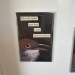Funny Magnet, Down to Clown featuring a bird illustration with the text 