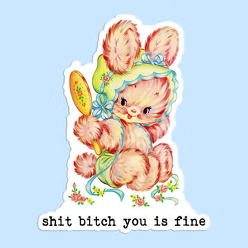 Funny Vintage Sticker Decal, Shit Bitch You Is Fine