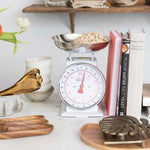 Metal & Stainless Steel Scale w/ Removable Tray 2