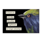 Funny Magnet, Orwellian Nightmare 1