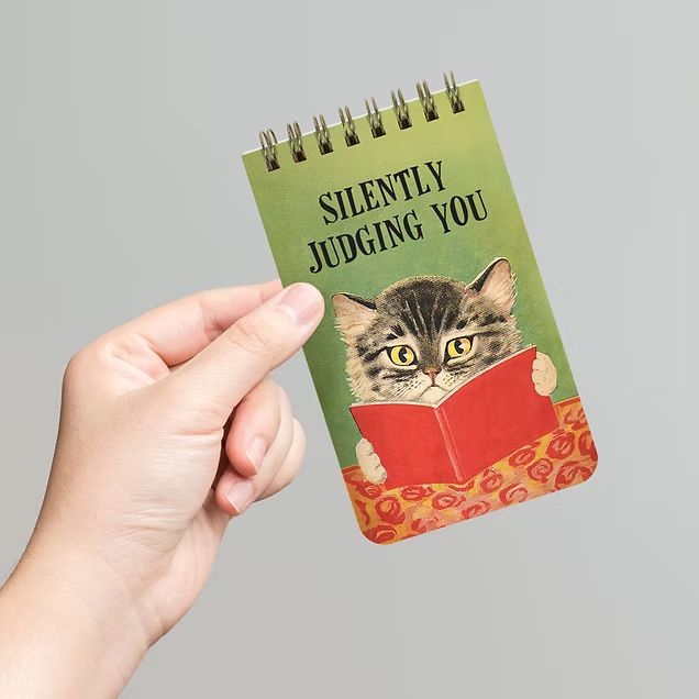 Spiral Memo Pad, Silently Judging You