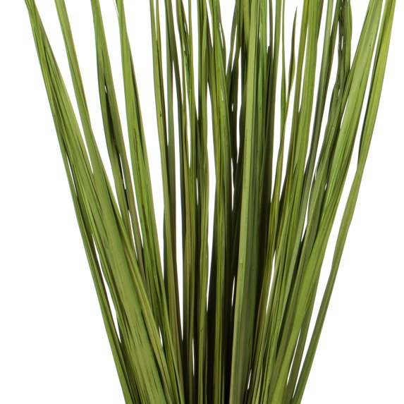 Basil Wild Flax Grass, 28-32 in.