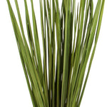 Basil Wild Flax Grass, 28-32 in. 2