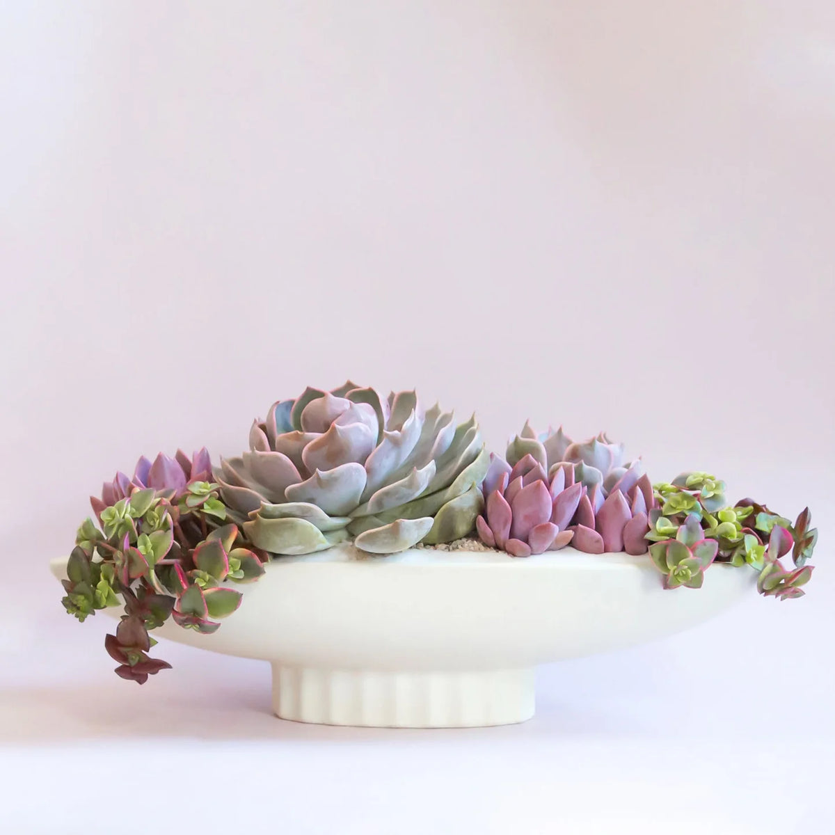Ceramic Luna Boat Bowl, Vintage White, 14 in.