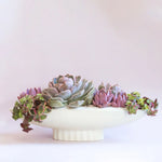 Ceramic Luna Boat Bowl, Vintage White, 14 in. 2