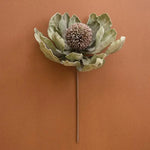 Botanica #3689, 28 in. 2