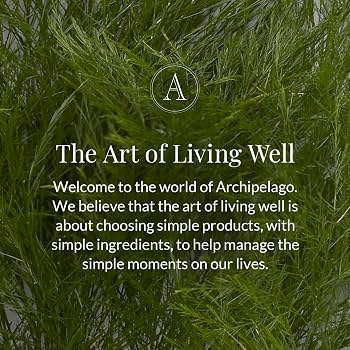 Archipelago Charleston Boxed Candle, 10 oz