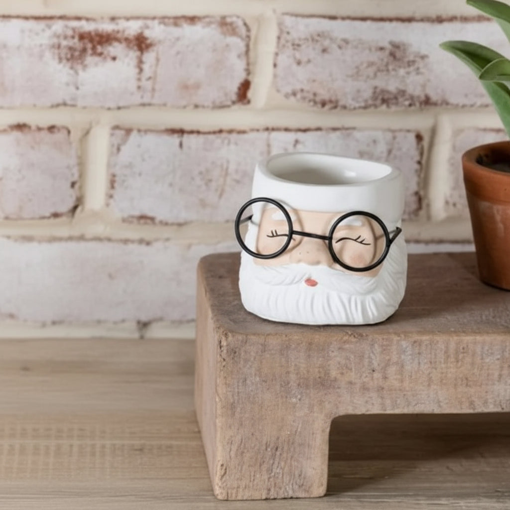 Santa Glasses Planter, Small, 3.5 in.