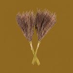 Mini Pampas Grass Bundle, Brown 2