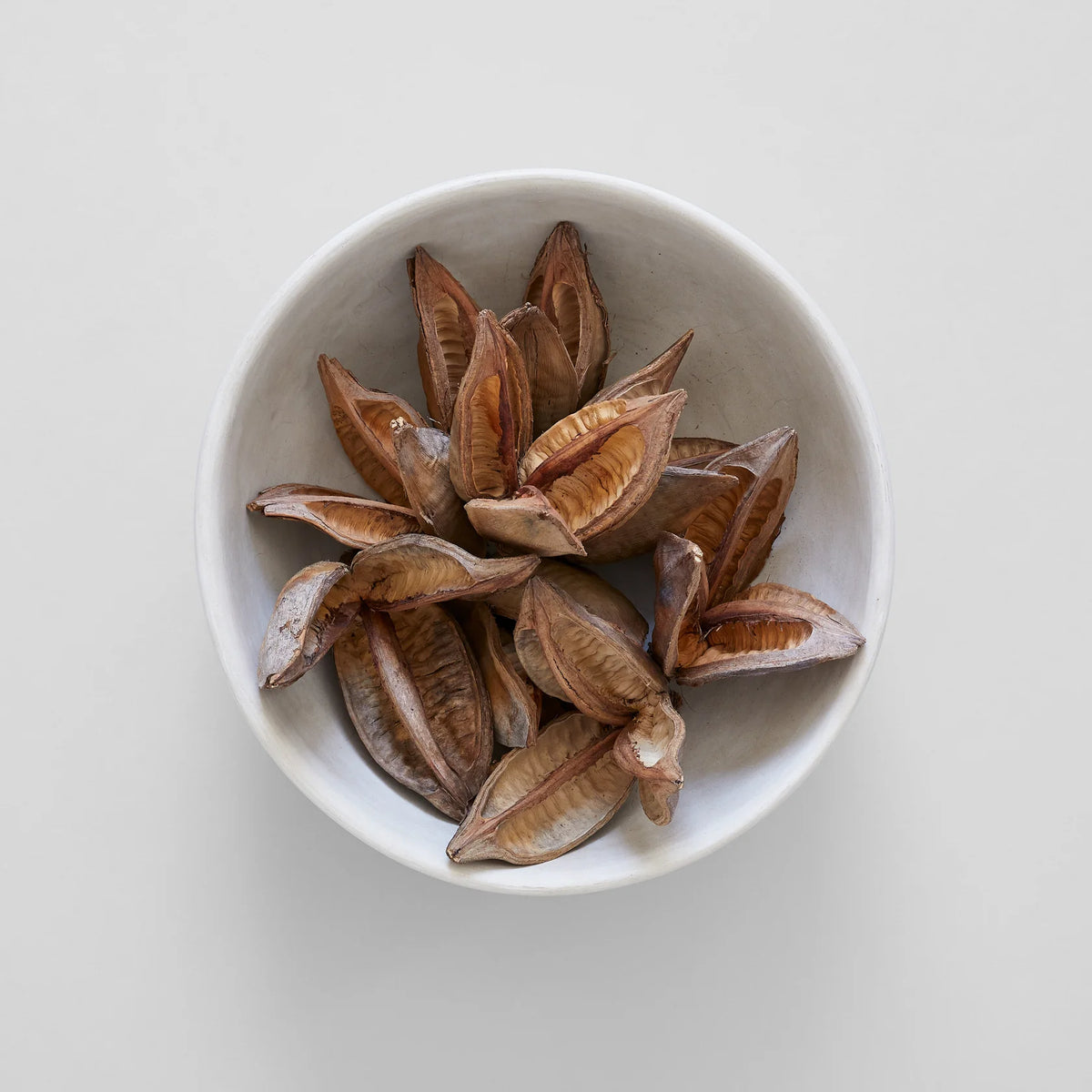 Assorted Sora Pods, each