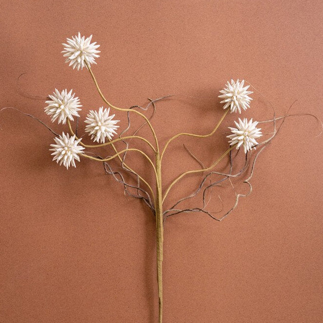 Botanica #2443