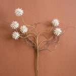 Botanica #2443 2