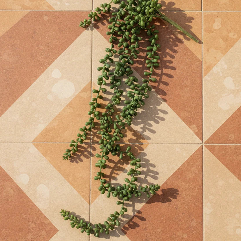 Artificial Necklace Fern Succulent