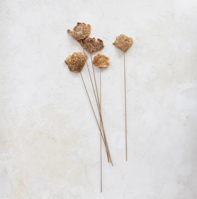 Dried Natural Mushroom Bunch, 23