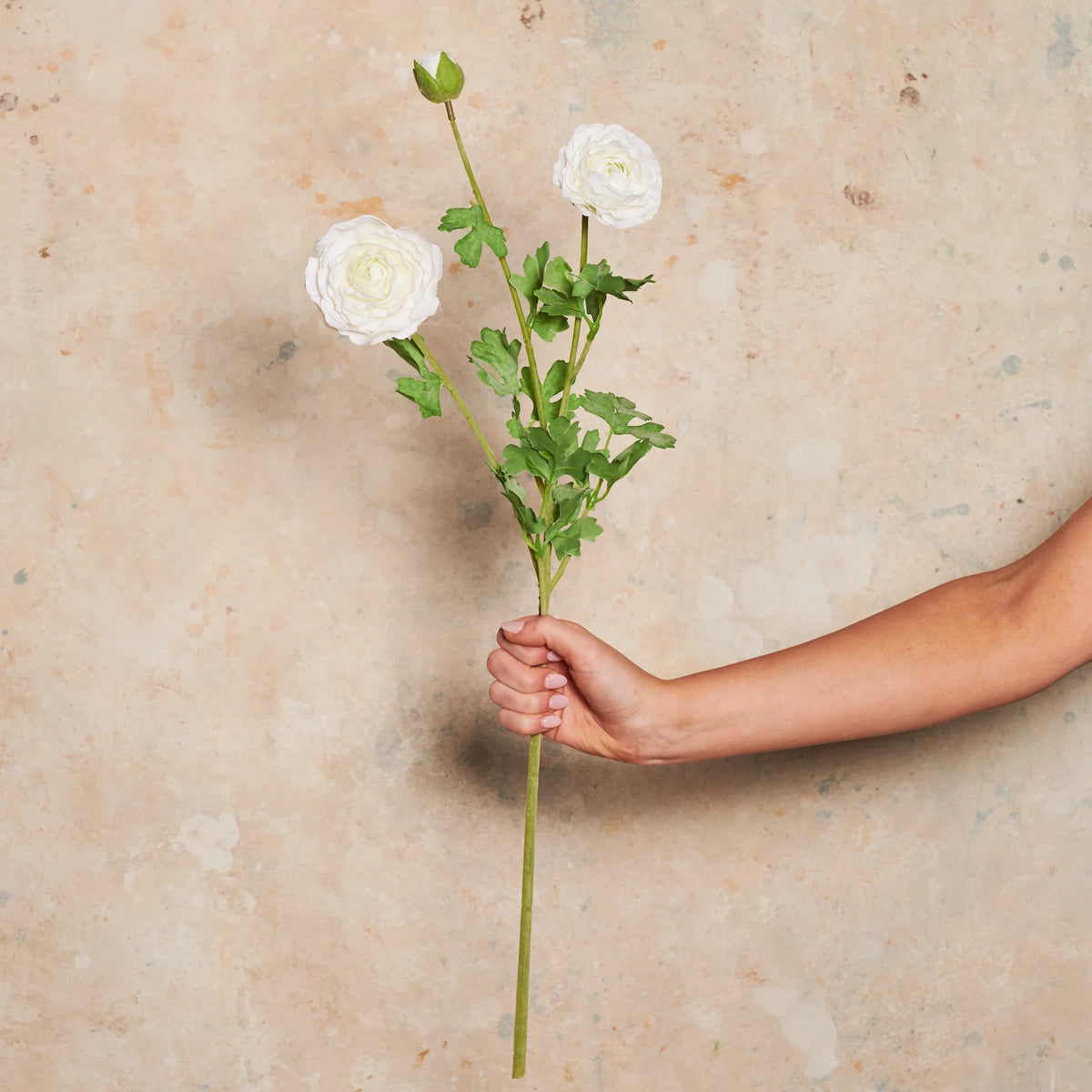 White Real Touch Triple Bloom Ranunculus Stem, 25 in