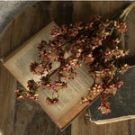 Mini Daisy Bush, Maroon, 22 in. 2