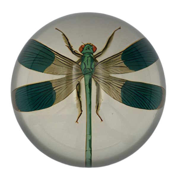 Dragonfly Paperweight, 4 in.