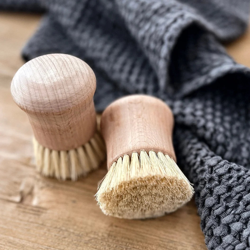 Beech Wood Brush, Natural, 3 in.