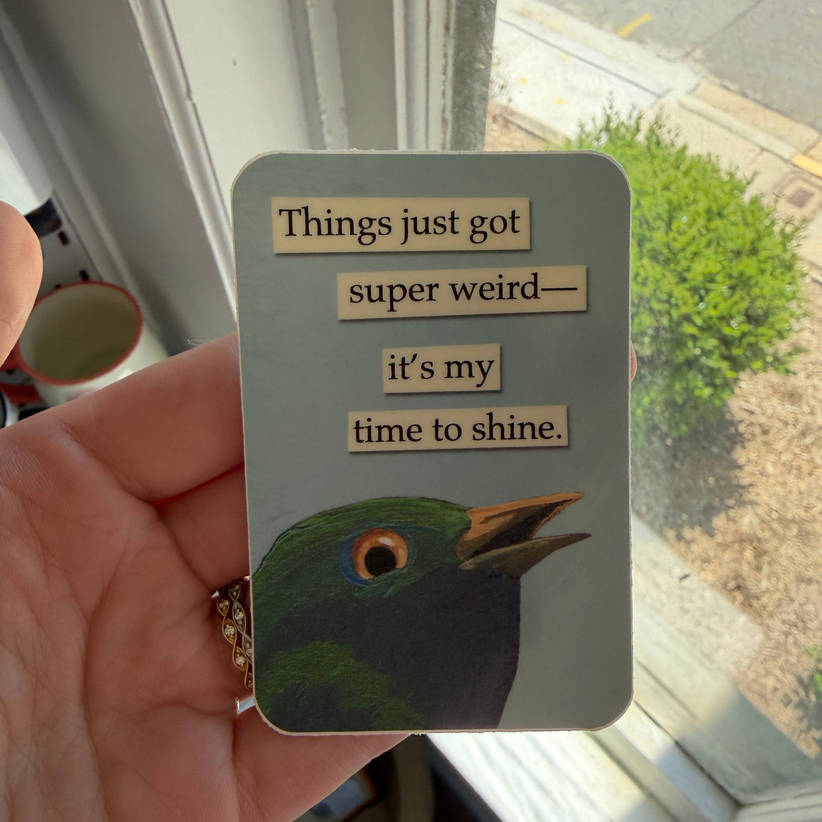 Funny Vinyl Sticker, Weird featuring a colorful bird illustration with the phrase 