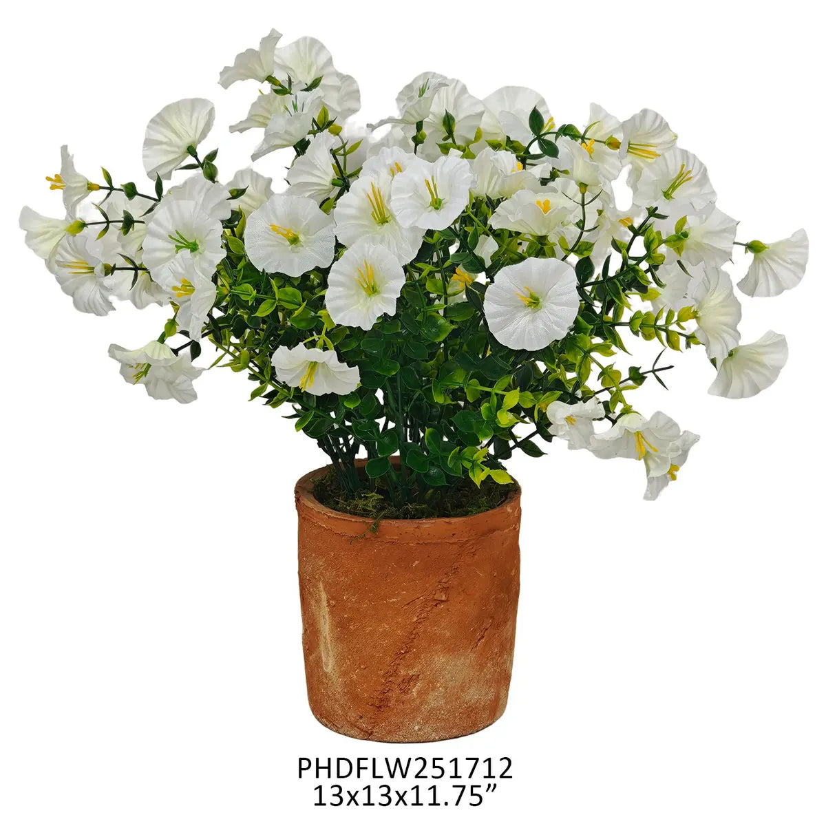 Potted White Petunia, Small, 13 x 13 x 11.8 in.