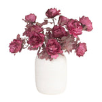 Botanica #3626 1