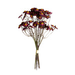Chamomile Bundle, Burgandy, 10in. 1
