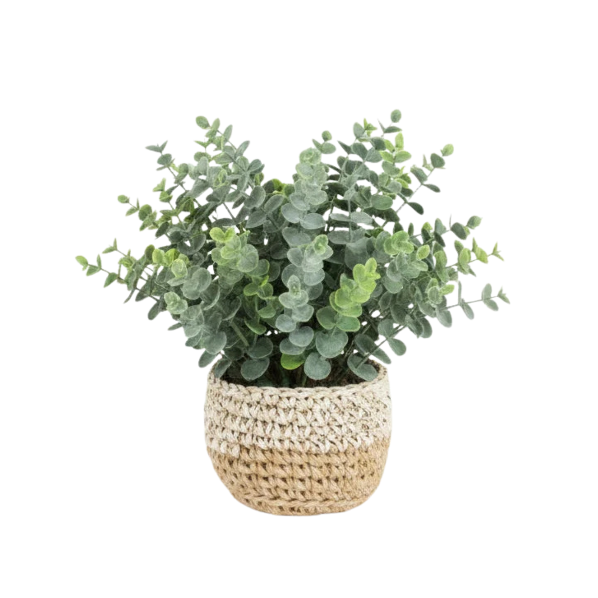 Artificial Eucalyptus Plants in Woven Pot - MEDIUM