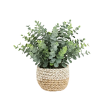 Artificial Eucalyptus Plants in Woven Pot - MEDIUM 1