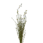 Wildflower Spray, 24 in., Pearly 1