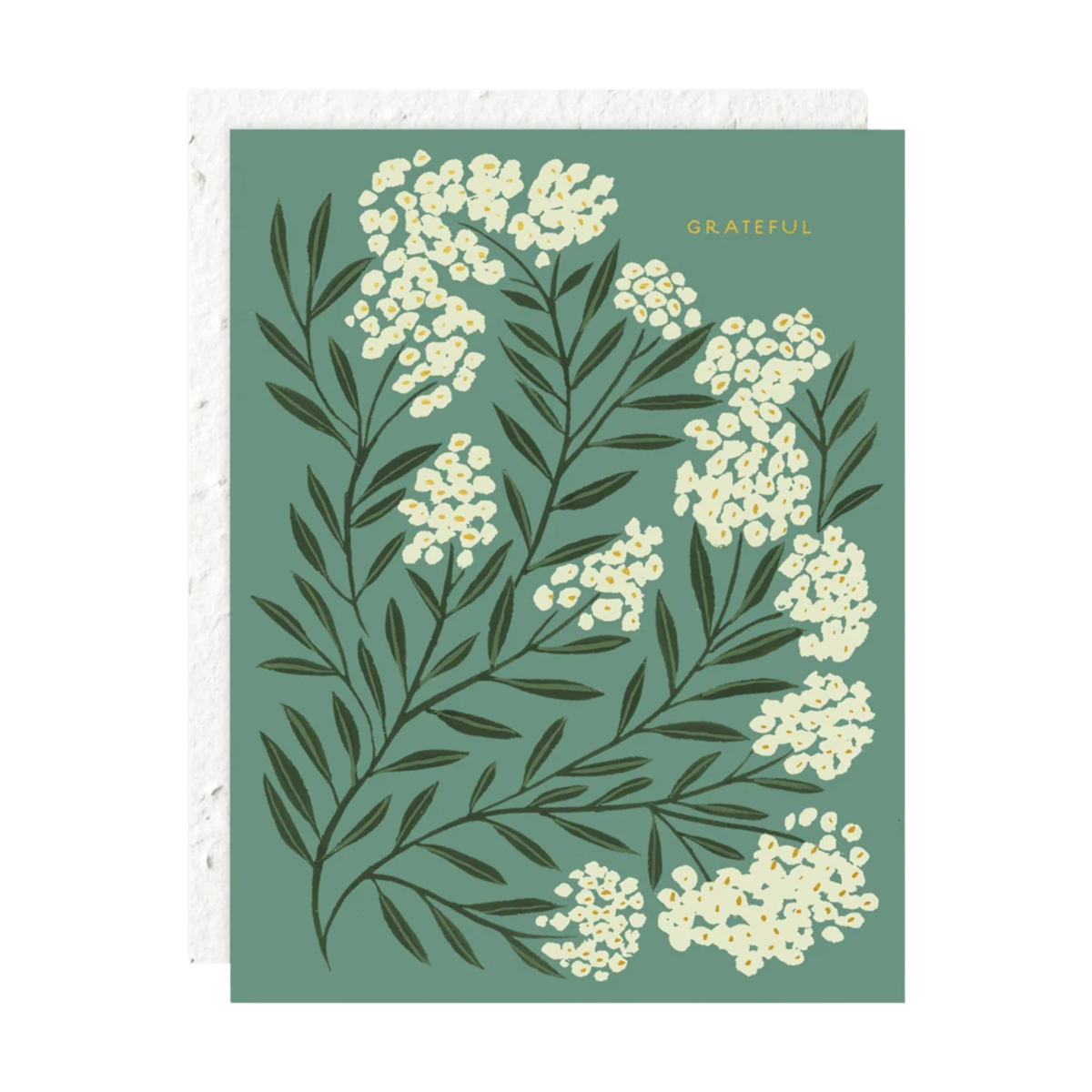 Seedlings Cards, Grateful Thank You