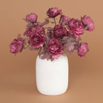 Botanica #3626 2