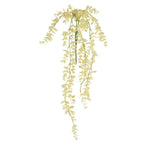 Botanica #2742 1