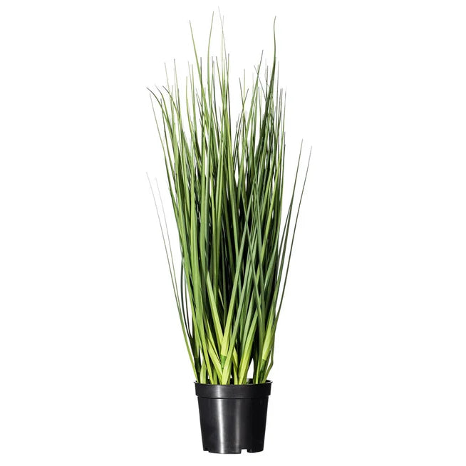 Extra Full Grass Potted, 24 in.