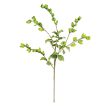 Botanica #3187 1