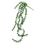 Artificial Necklace Fern Succulent 1