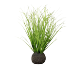 Wild Onion Grass Bulb, 10 in. 1