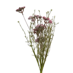 Wildflower Spray, 24 in., Thulian 1