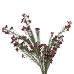 Waxflower Spray, Burgundy, 29 in. 1