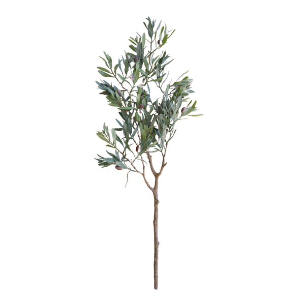 Olive Branch Stem, 32 in.