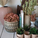 Embossed Stoneware Planter, 8 X 6 in. 2